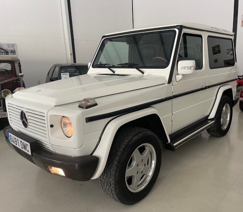 MERCEDES-BENZ CLASE G 270 CDI